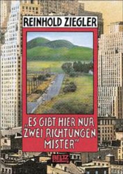 Es gibt hier nur zwei Richtungen, Mister: Roman (Beltz & Gelberg) Psychology