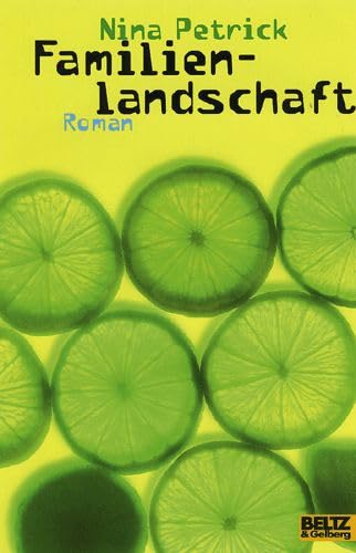 Familienlandschaft: Roman (Beltz & Gelberg) Fantasy & Sci-Fi