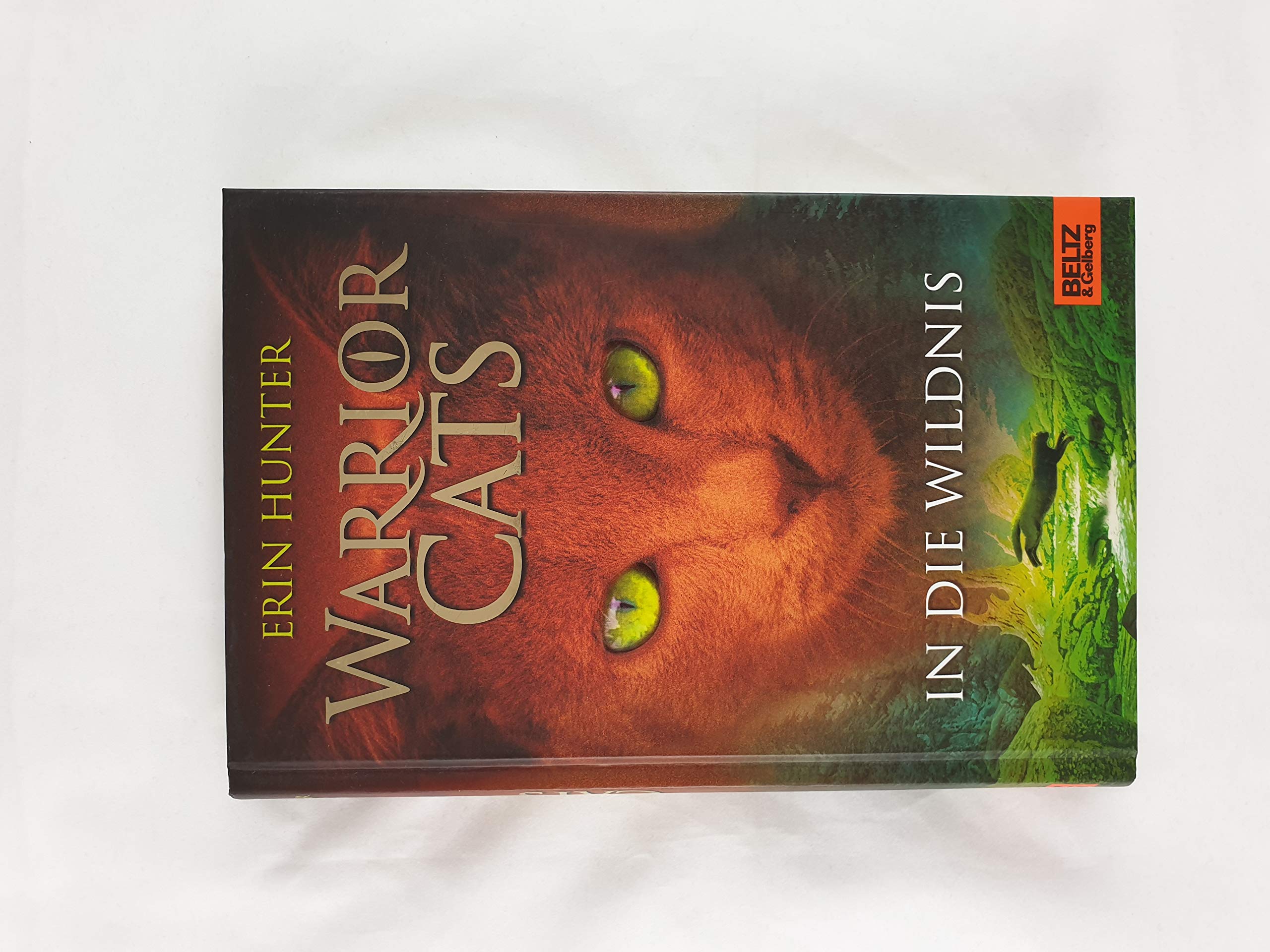 Warrior Cats Staffel 1/01. In die Wildnis Fantasy & Sci-Fi