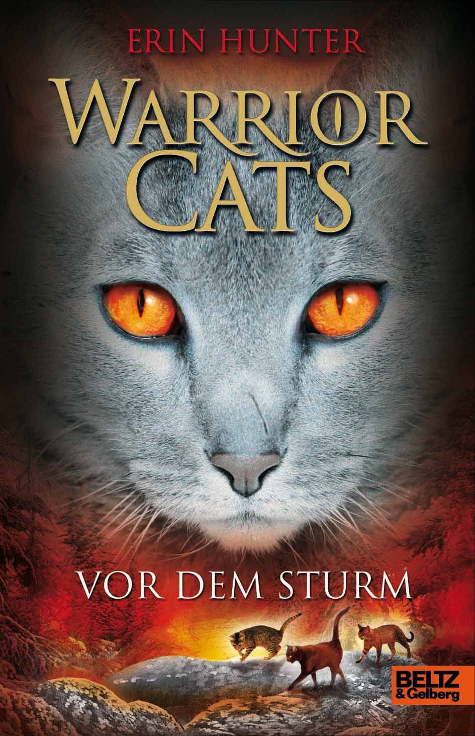 Warrior Cats Staffel 1/04. Vor dem Sturm Fantasy & Sci-Fi