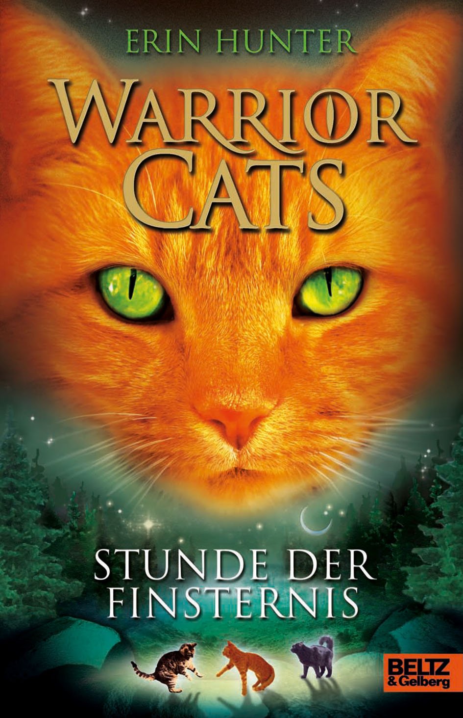 Warrior Cats Staffel 1/06. Stunde der Finsternis Fantasy & Sci-Fi