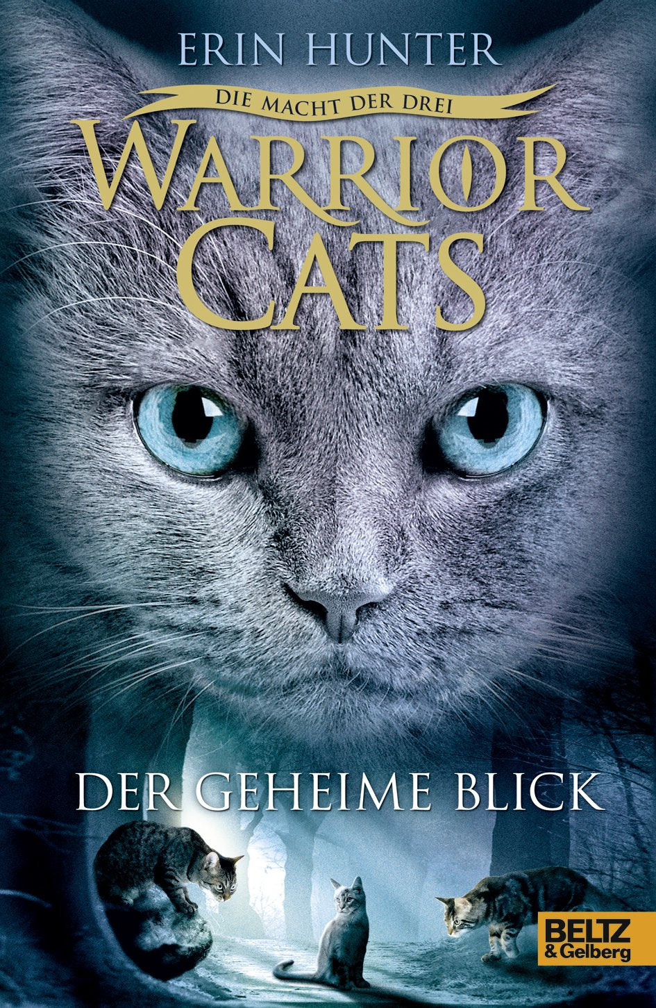 Warrior Cats Staffel 3/01. Die Macht der drei. Der geheime Blick Pets