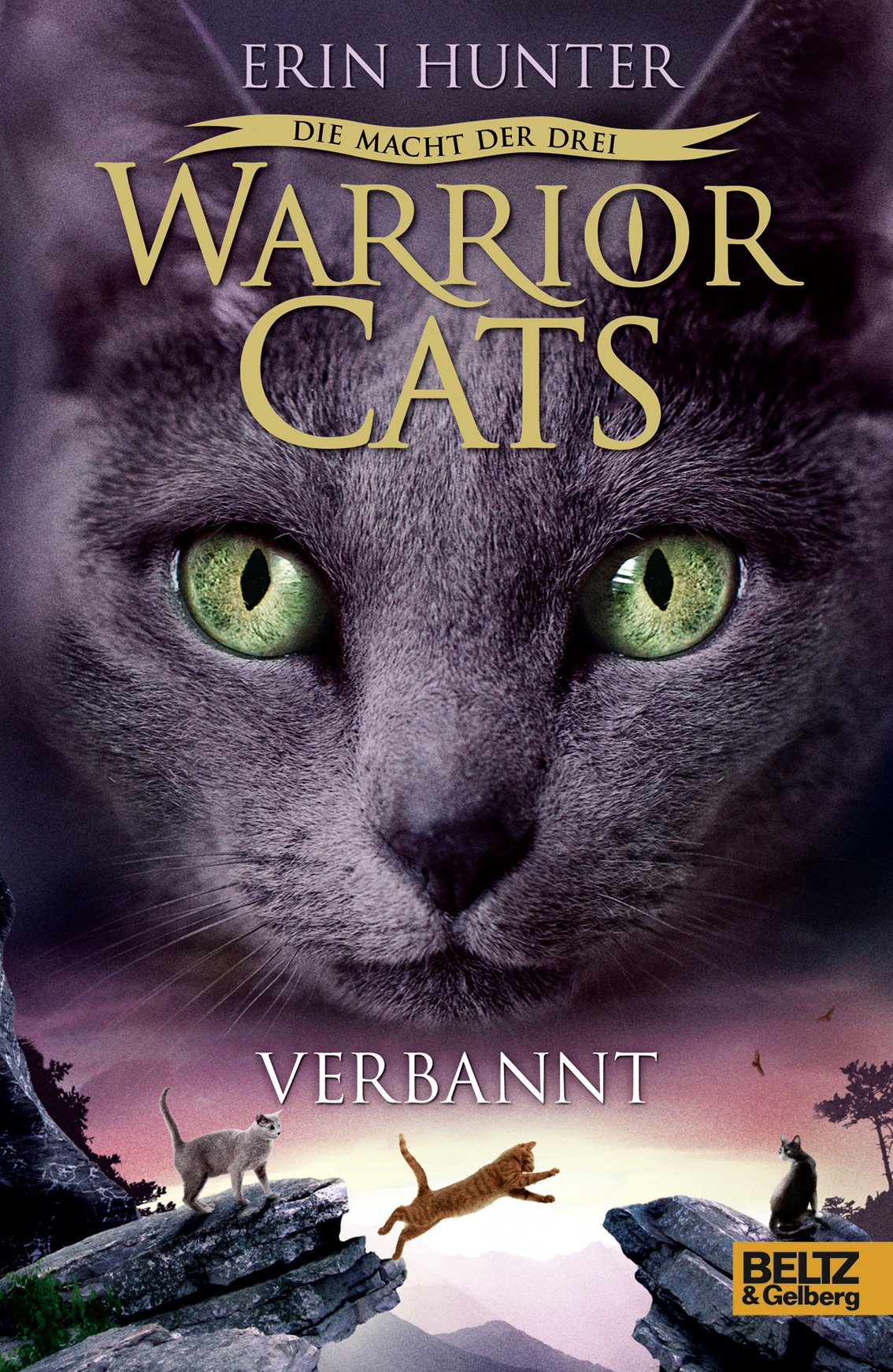 Warrior Cats Staffel 3/03. Die Macht der drei. Verbannt Novels & Short Stories