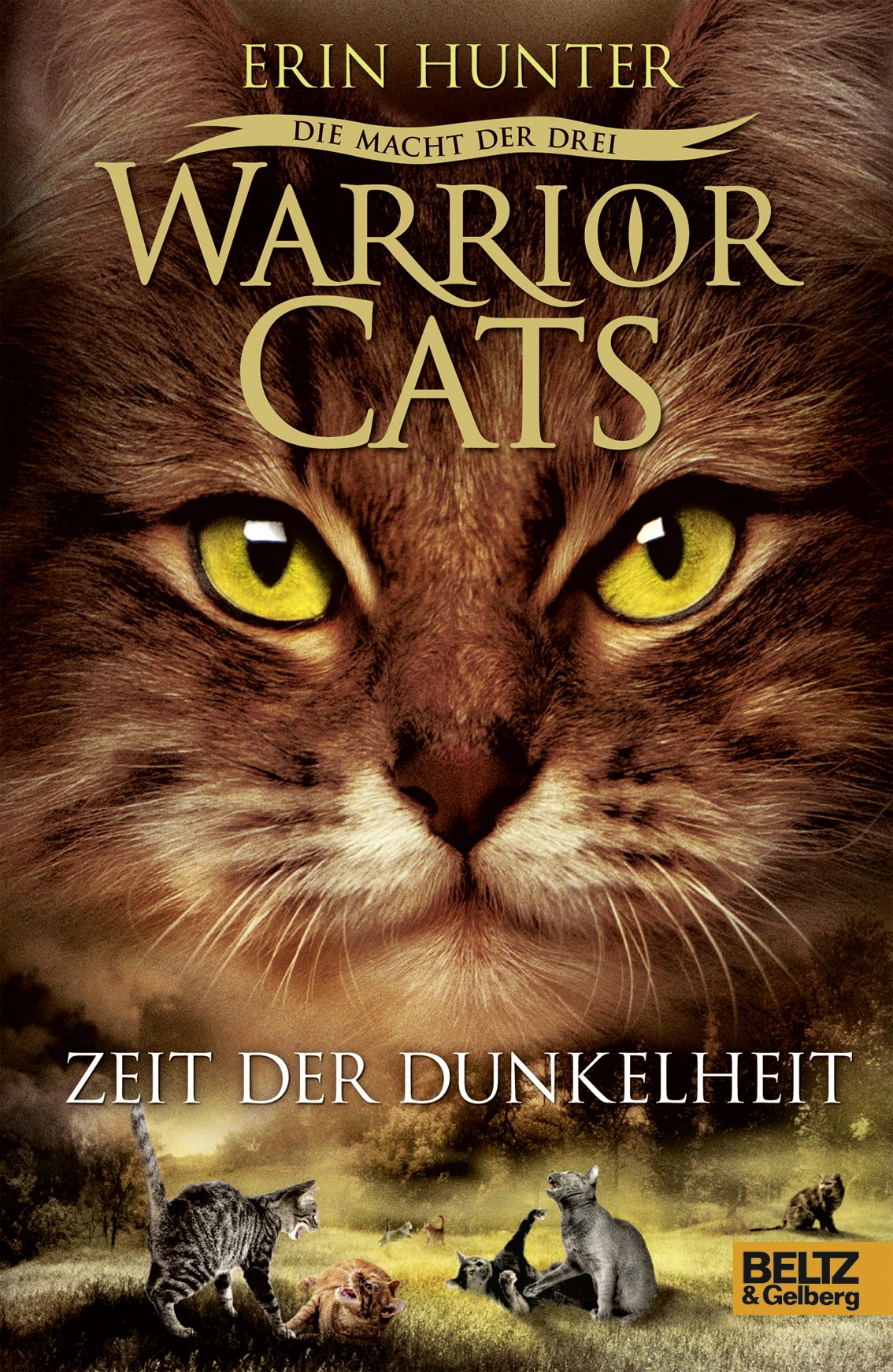 Warrior Cats Staffel 3/04. Die Macht der drei. Zeit der Dunkelheit Fantasy & Sci-Fi