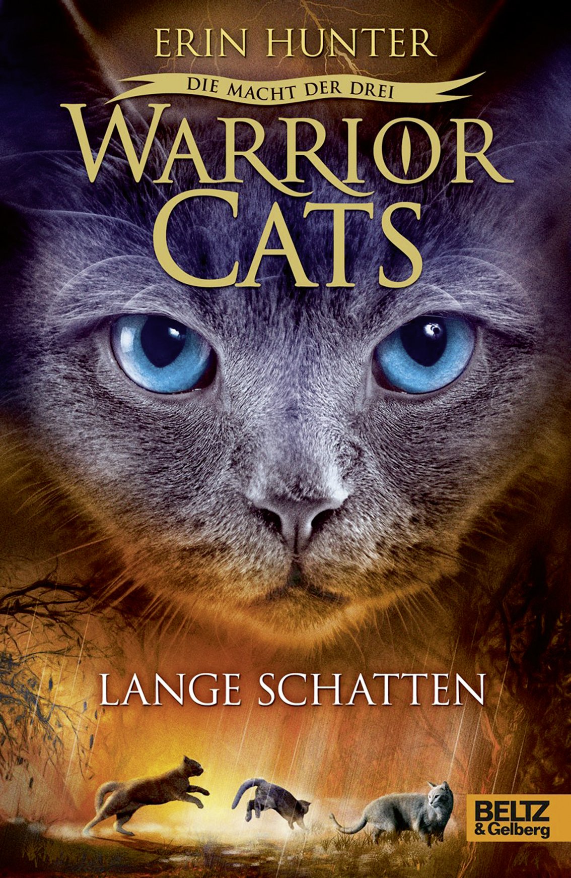 Warrior Cats Staffel 3/05. Die Macht der drei. Lange Schatten Novels & Short Stories