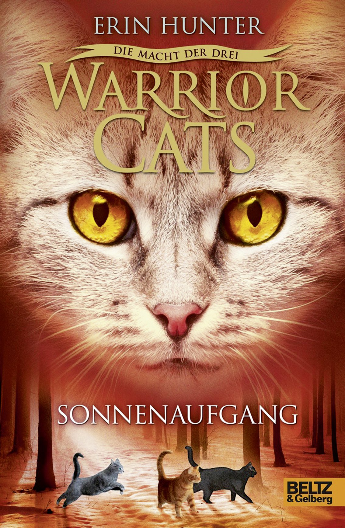 Warrior Cats Staffel 3/06. Die Macht der drei. Sonnenaufgang Novels & Short Stories