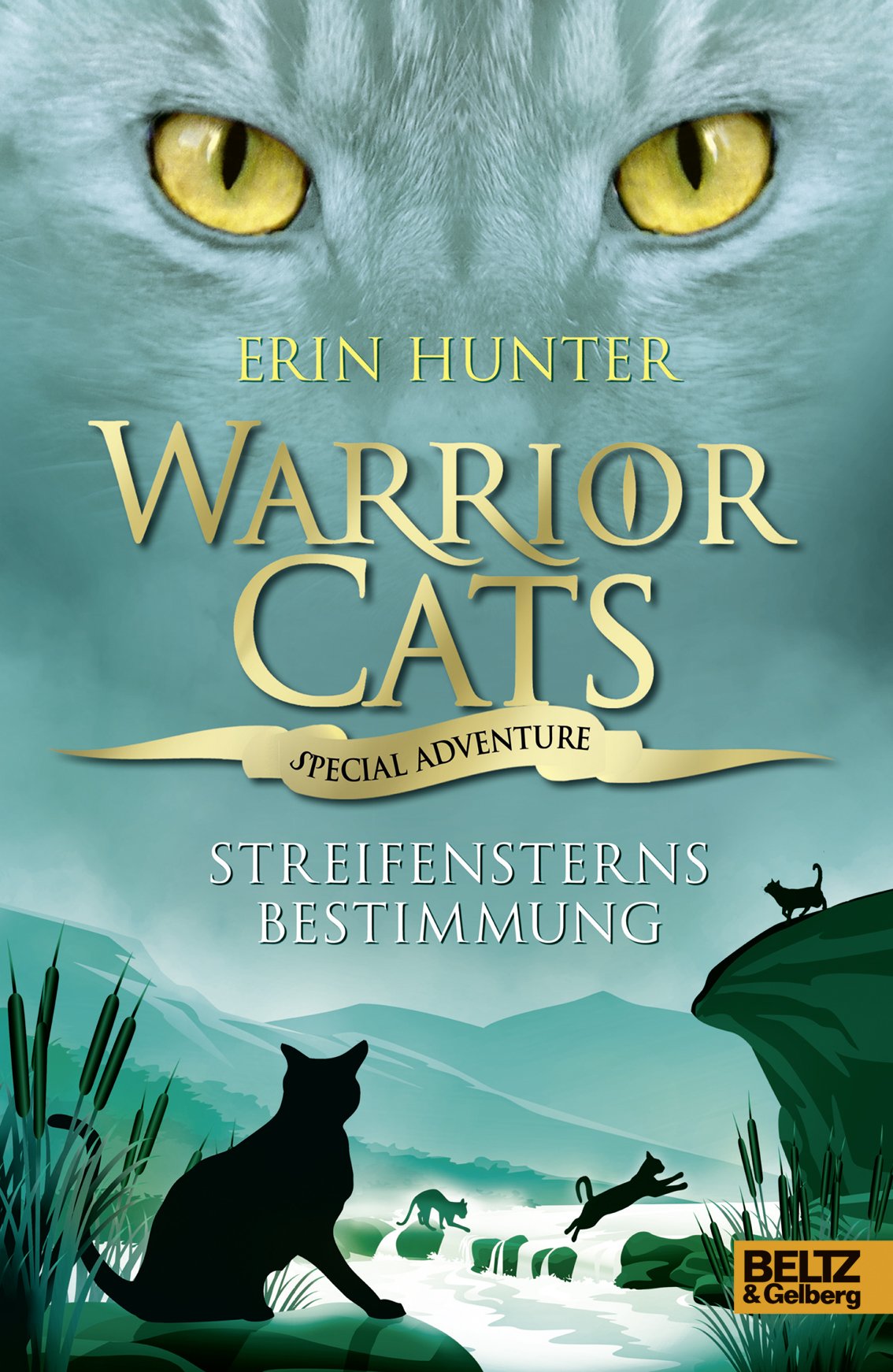 Warrior Cats - Special Adventure 4. Streifensterns Bestimmung Novels & Short Stories
