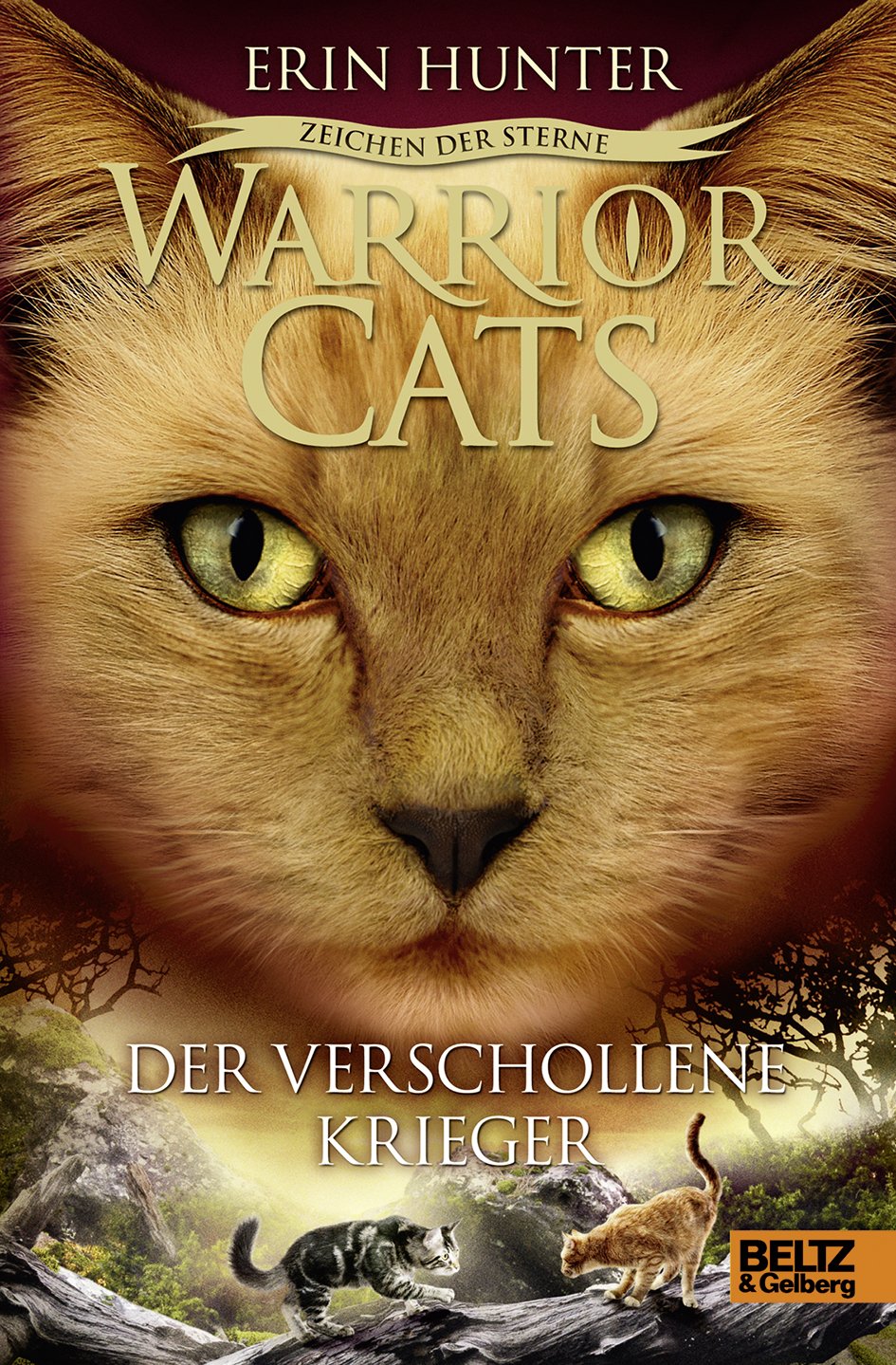 Warrior Cats Staffel 4/05. Zeichen der Sterne. Der verschollene Krieger Books