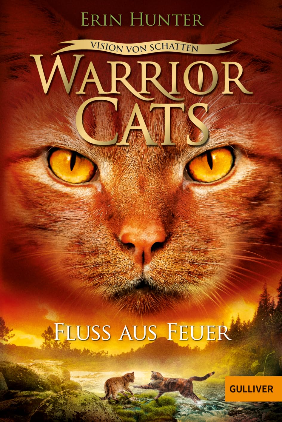 Warrior Cats - Vision von Schatten. Fluss aus Feuer Contemporary literature