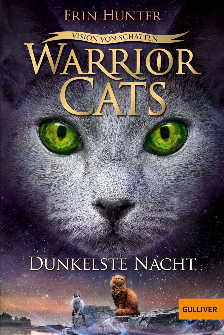 Warrior Cats 6/04 Vision von Schatten. Dunkelste Nacht Novels & Short Stories