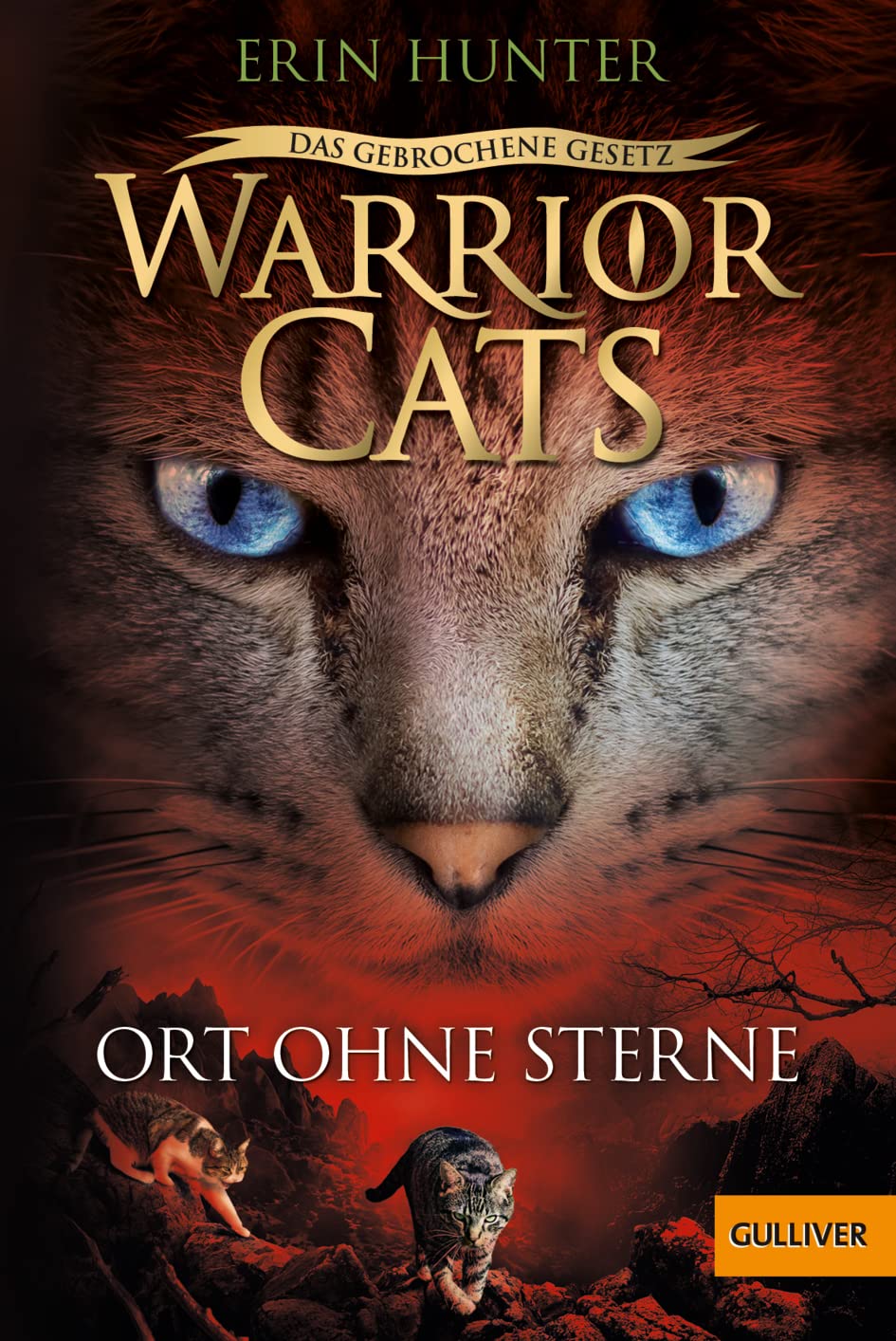 Warrior Cats - Das gebrochene Gesetz. Ort ohne Sterne Health, Nutrition & Fitness