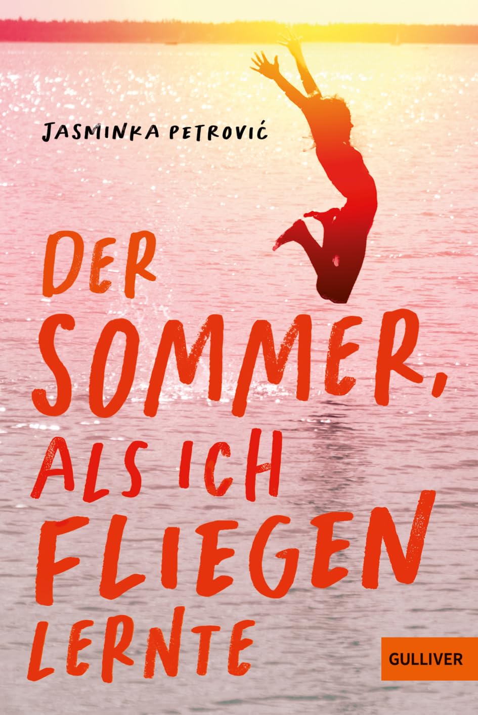 Der Sommer, als ich fliegen lernte Fiction