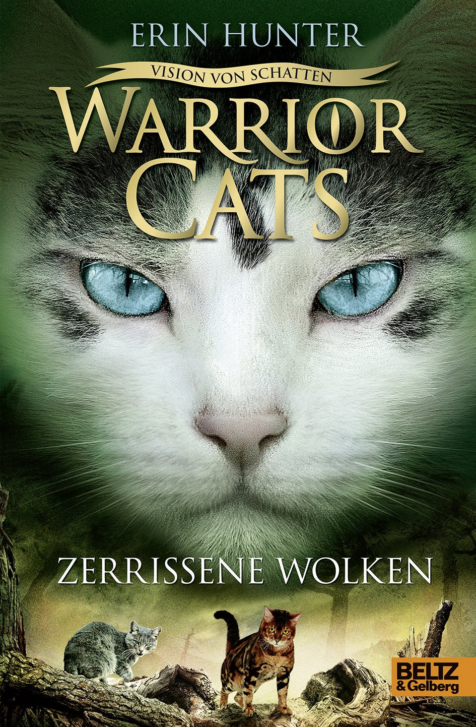 Warrior Cats VI 03 - Vision von Schatten. Zerrissene Wolken Contemporary literature