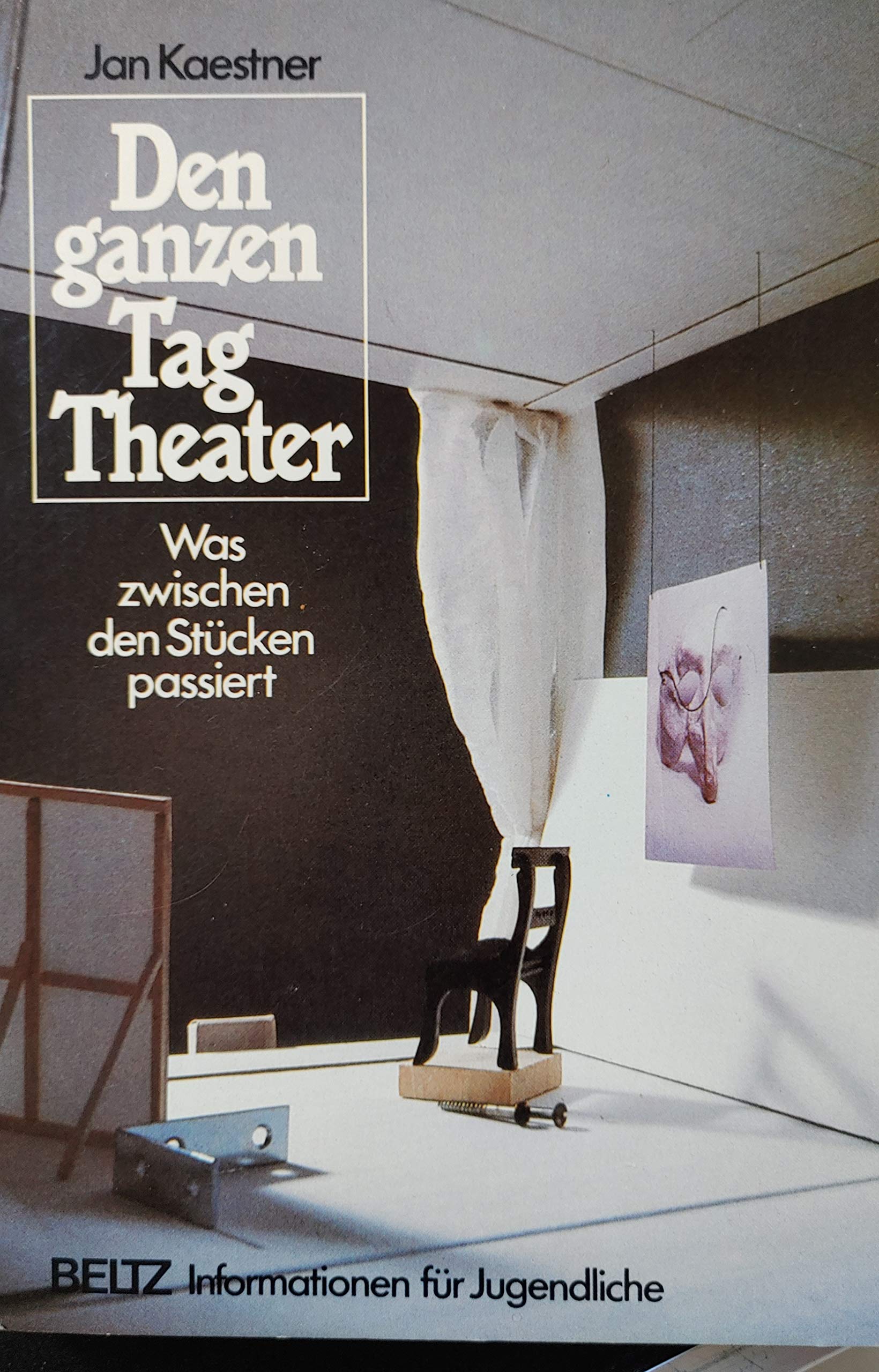 Den ganzen Tag Theater: Was zwischen den Stücken passiert (Beltz Info) Books
