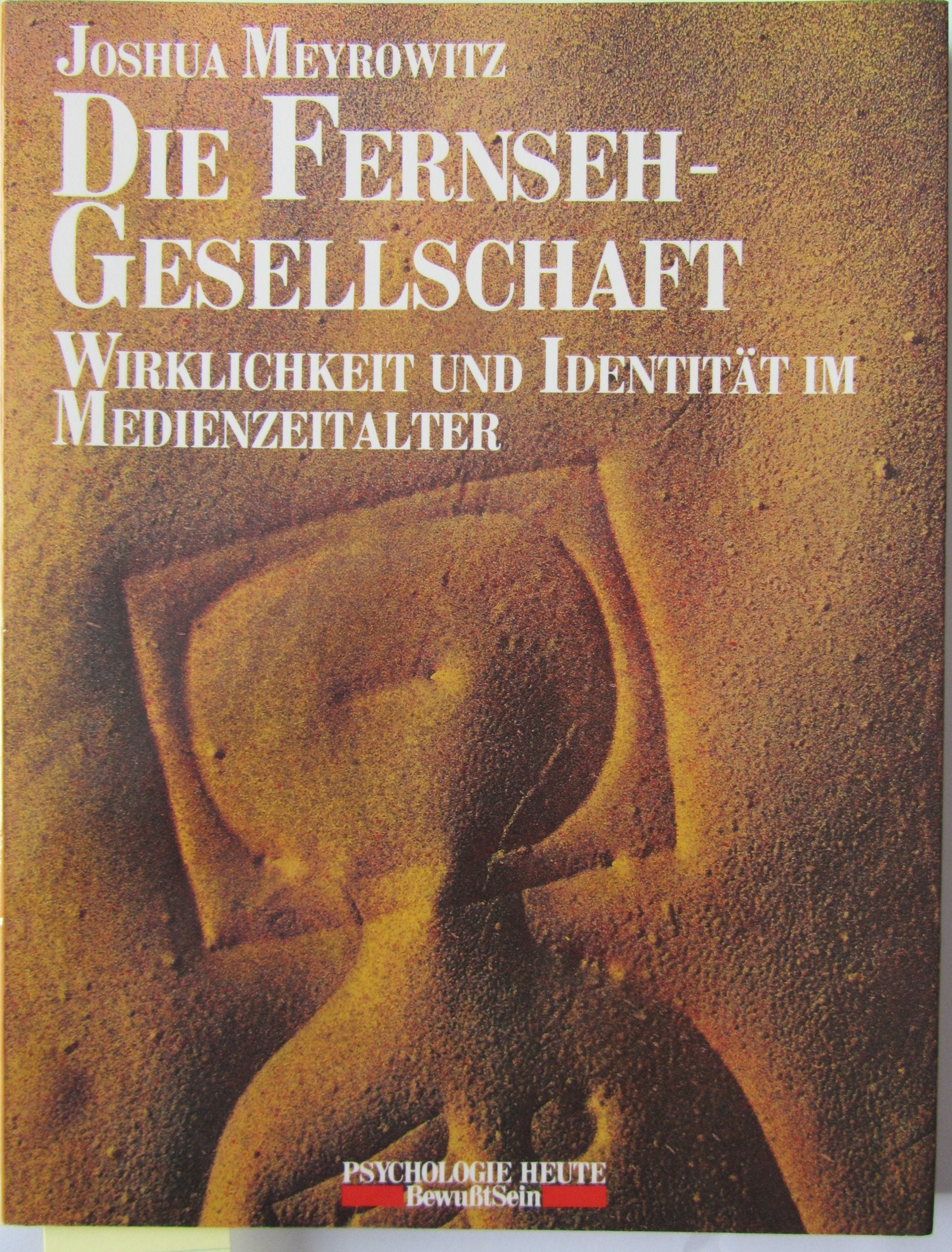 Die Fernseh-Gesellschaft: Wirklichkeit und Identität im Medienzeitalter Politics & History