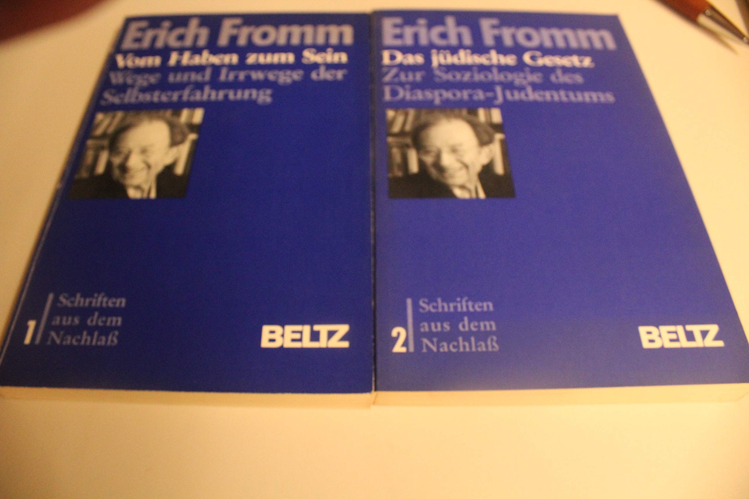 Vom Haben zum Sein: Wege und Irrwege der Selbsterfahrung (Schriften aus dem Nachlass) Philosophy