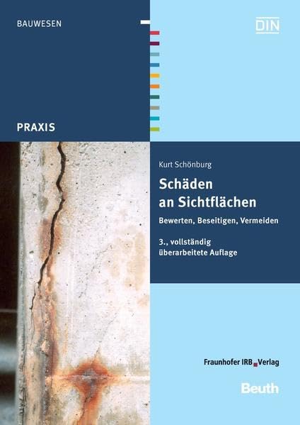 Schäden an Sichtflächen: Bewerten, Beseitigen, Vermeiden (DIN Media Praxis) Business & Technology