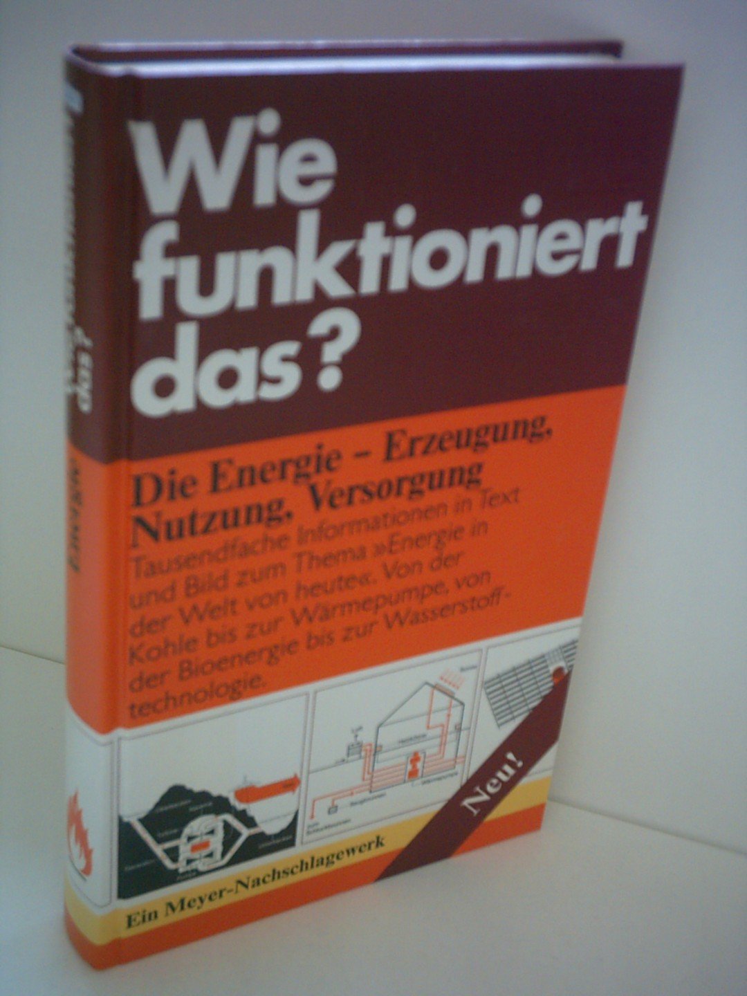Wie funktioniert das? Energie, Erzeugung, Nutzung, Versorgung. (Meyer-Nachschlagewerk) Business & Technology