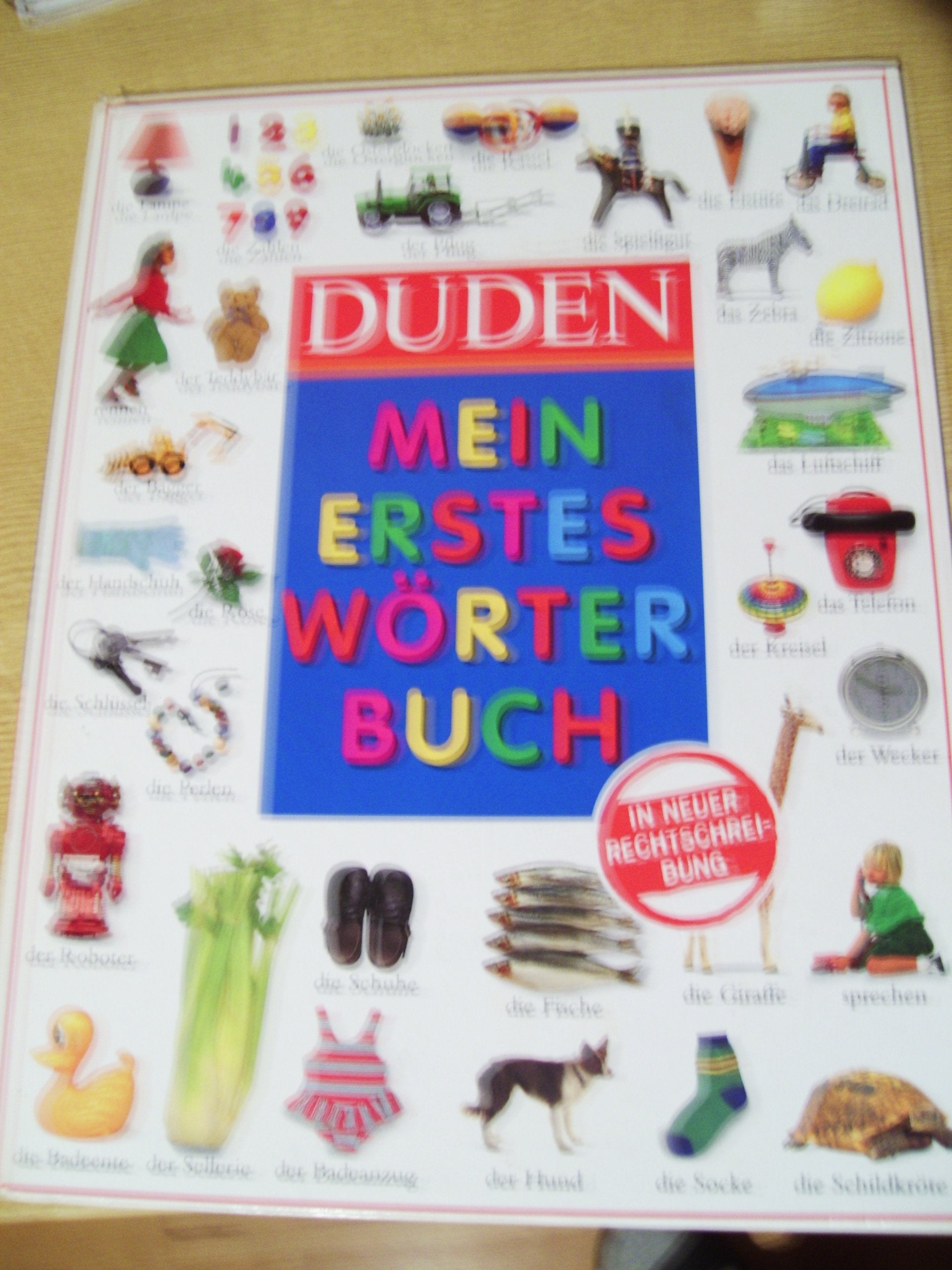 Duden - Mein erstes Wörterbuch General education