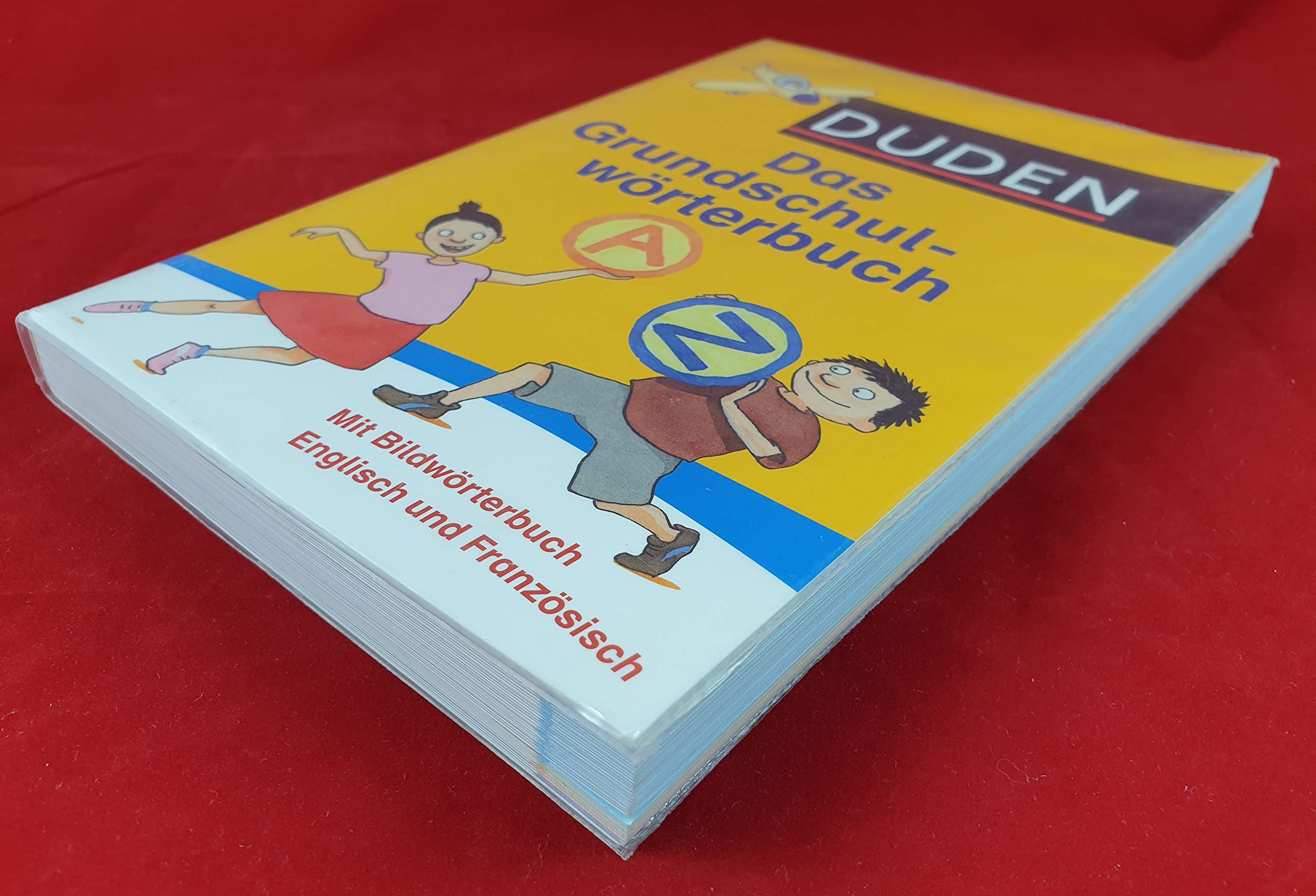 Duden - Das Grundschulwörterbuch Ausgabe Rheinland-Pfalz: 11.500 Begriffe (Duden - Grundschulwörterbücher) General education