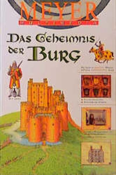 Das Geheimnis der Burg game