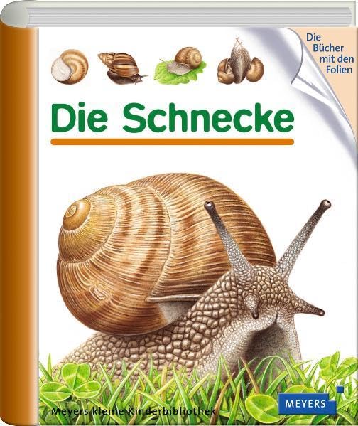 Die Schnecke Essays & Short Stories