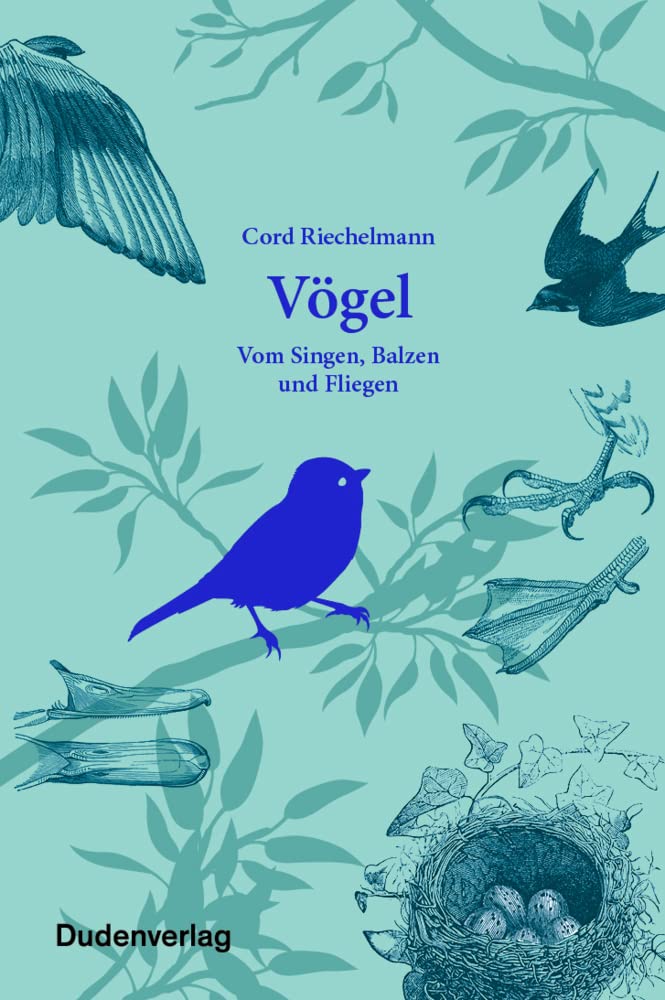 Product Image: Vögel