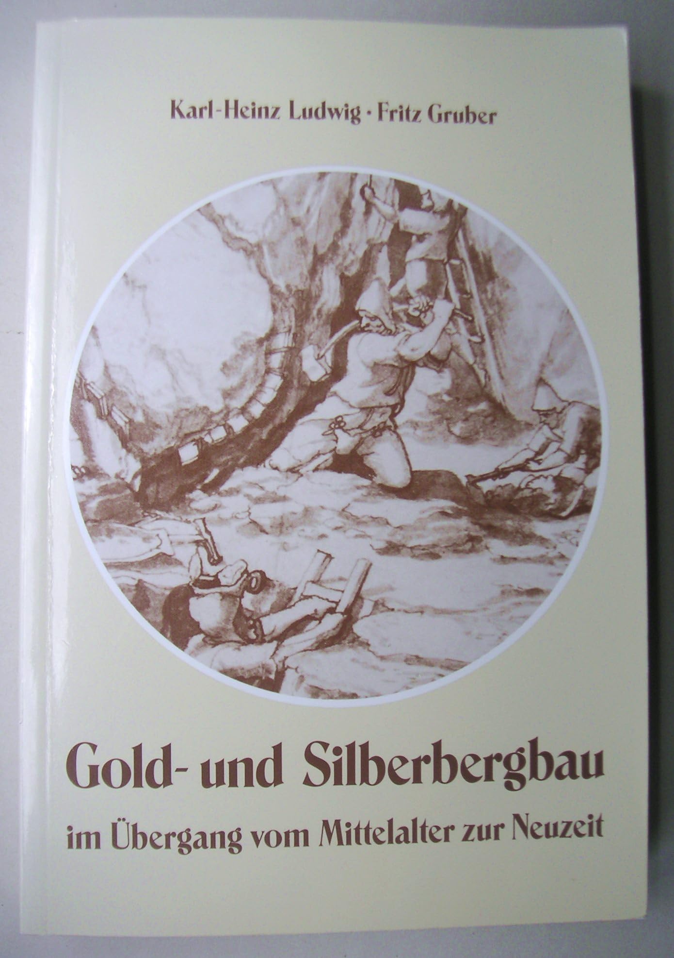 Gold- und Silberbergbau im Übergang vom Mittelalter zur Neuzeit: Das Salzburger Revier von Gastein und Rauris Books
