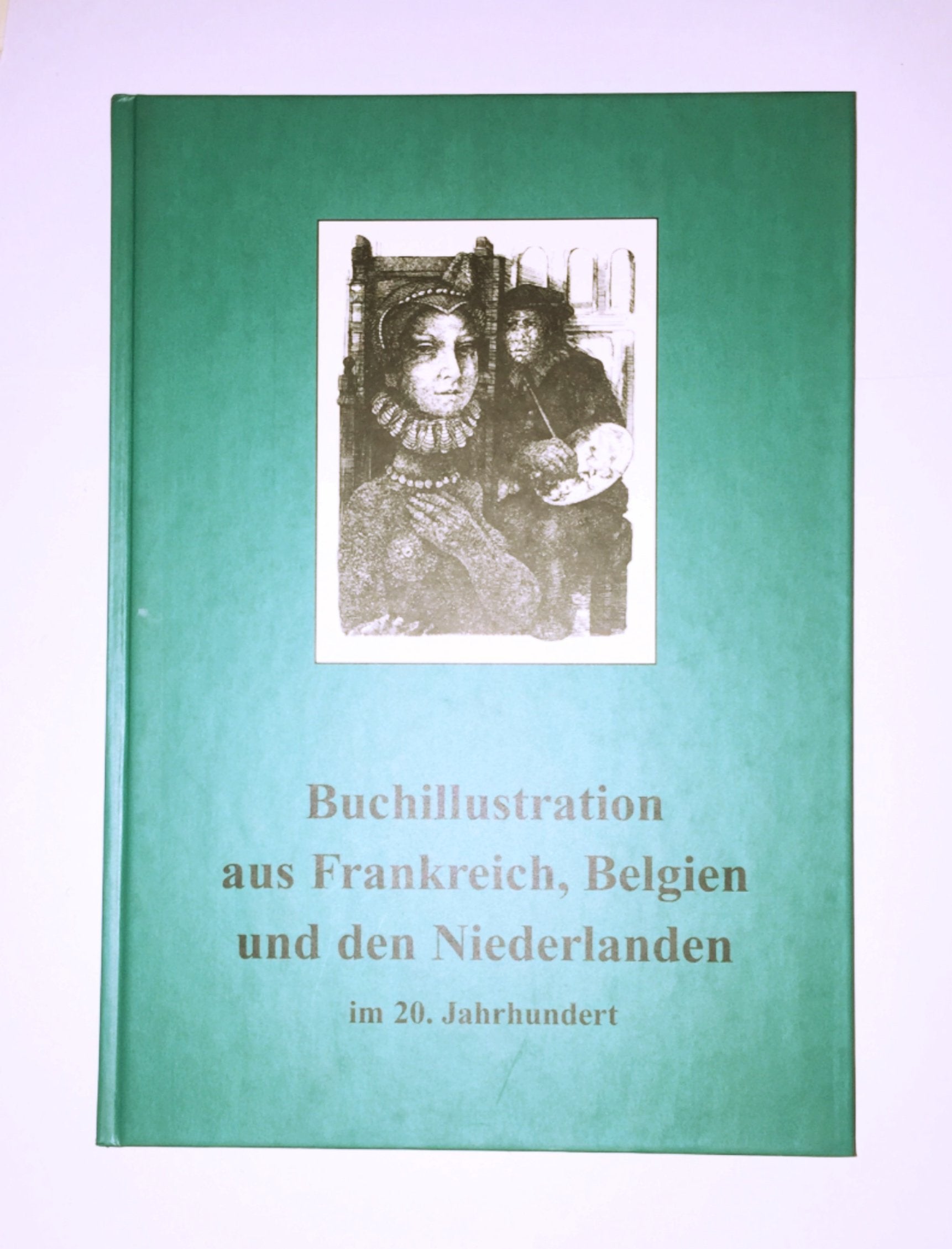 Buchillustration aus Frankreich, Belgien und den Niederlanden im 20. Jahrhundert (Literarische Bilderwelten) Foreign Languages ​​& Dictionaries