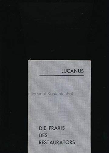 Die Praxis des Restaurators: Vollständige Anleitung zur Erhaltung, Reinigung und Wiederherstellung von Gemälden, Aquarellen, Kupferstichen etc Books