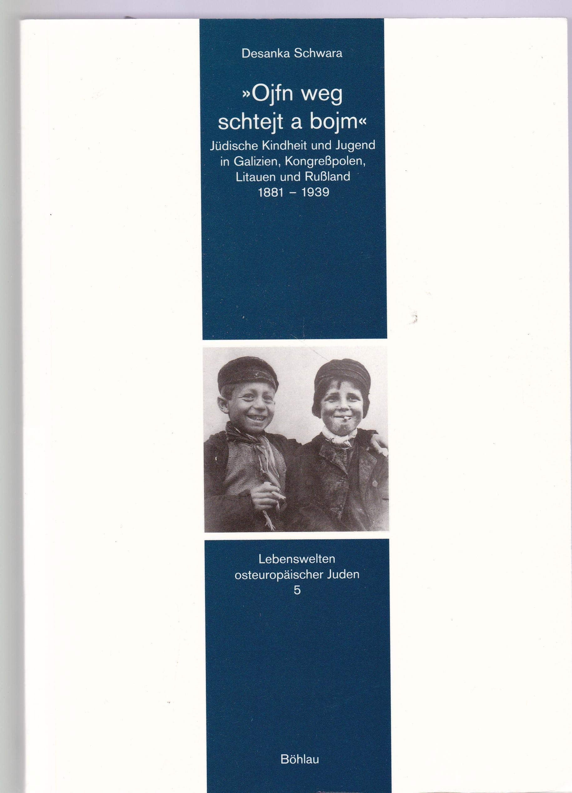 "Oifn weg schtejt a bojm": Jüdische Kindheit und Jugend in Galizien, Kongresspolen, Litauen und Russland 1881-1939 (Lebenswelten osteuropäischer Juden) Politics & Society Books