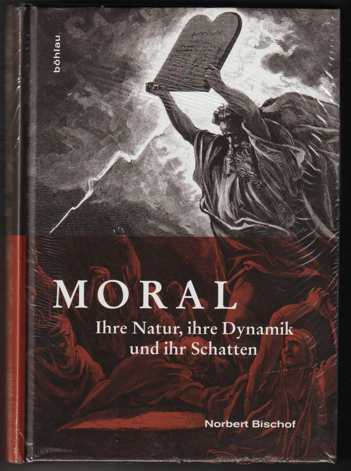 Moral: Ihre Natur, ihre Dynamik und ihr Schatten Philosophy