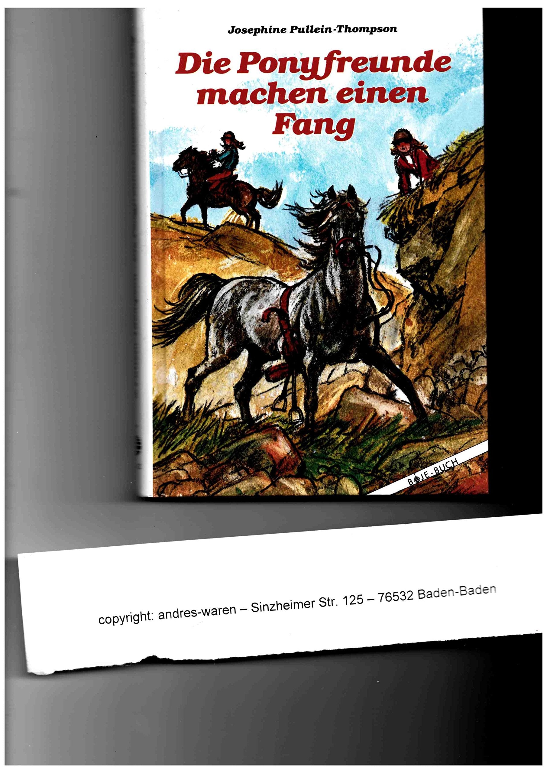 Die Ponyfreunde machen einen Fang Books