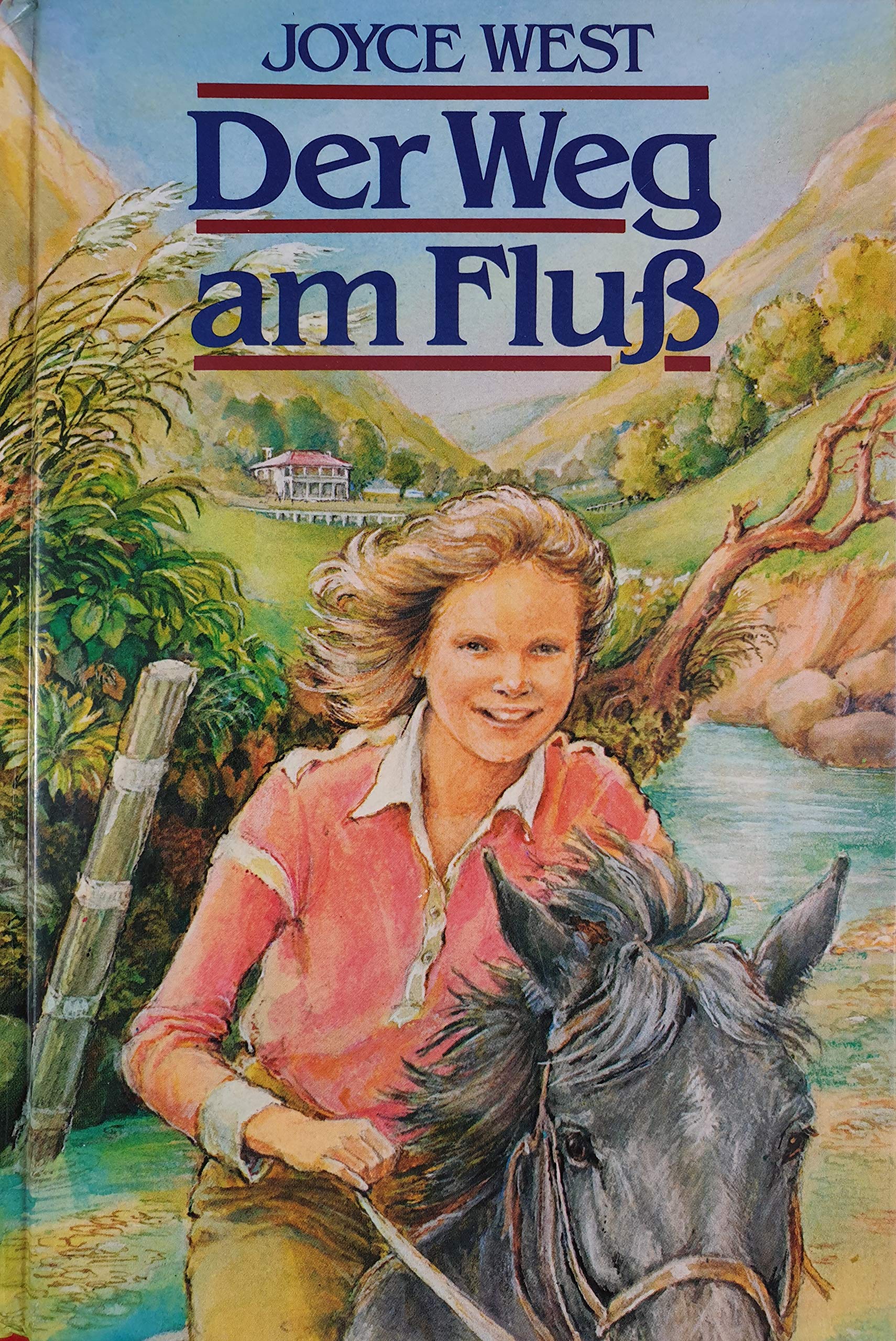 Der Weg am Flu� book