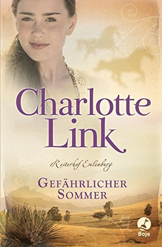Gefährlicher Sommer Novels & Short Stories for children
