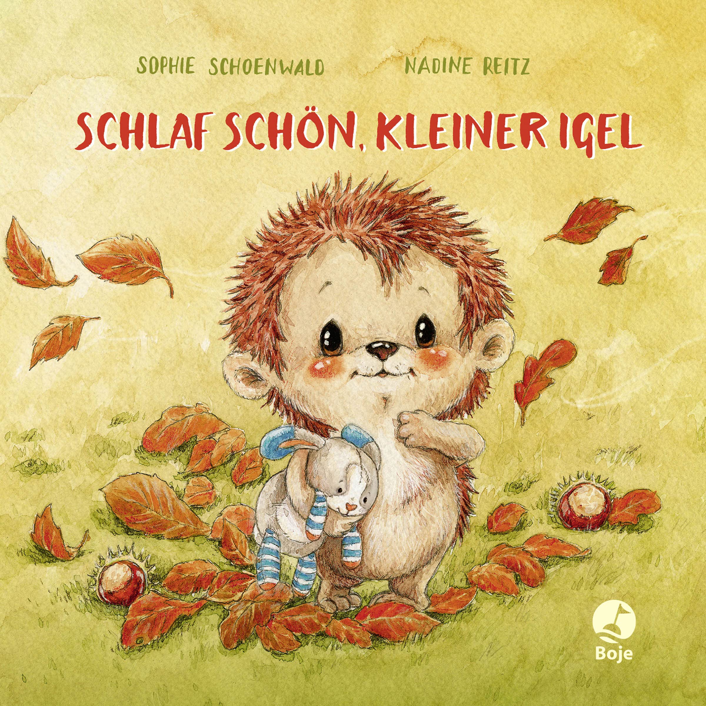 Schlaf schön, kleiner Igel (Mini-Ausgabe) Non-fiction