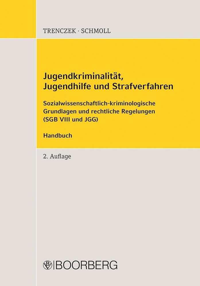 Jugendkriminalität, Jugendhilfe und Strafverfahren Young adult books
