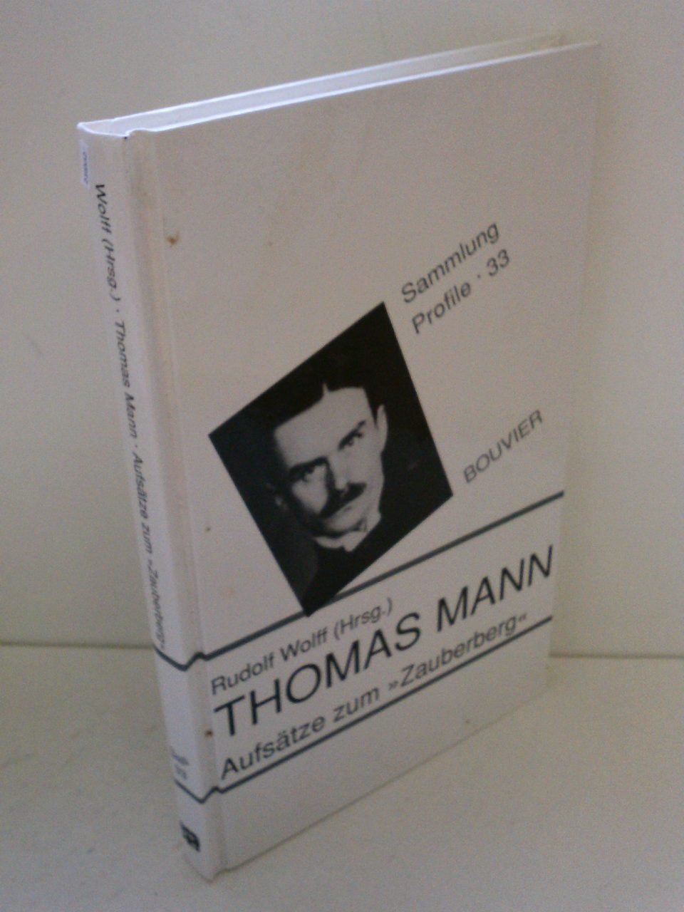 Thomas Mann - Aufsätze zum Zauberberg Art & Literature