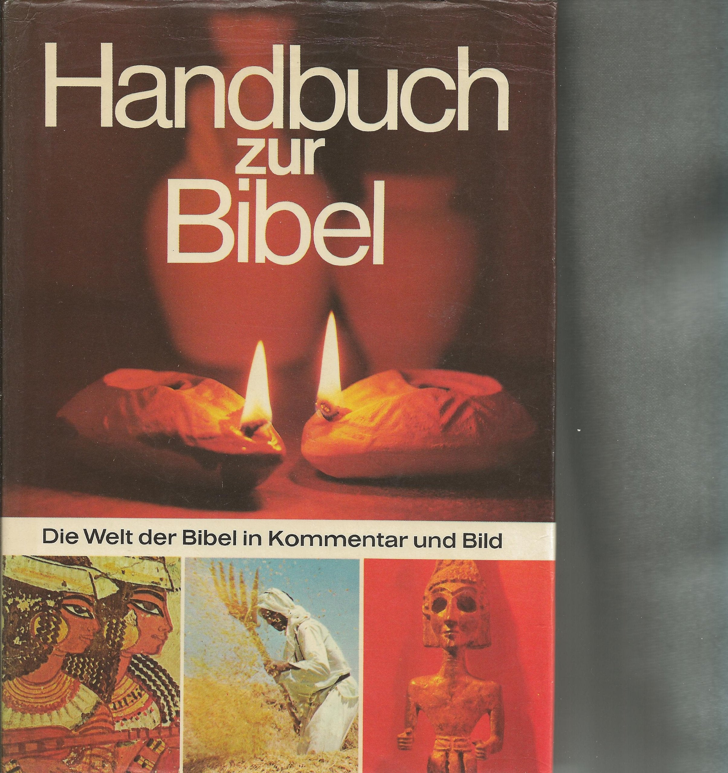David Alexander: Handbuch zur Bibel . Die Welt der Bibel in Kommentar und Bild Books