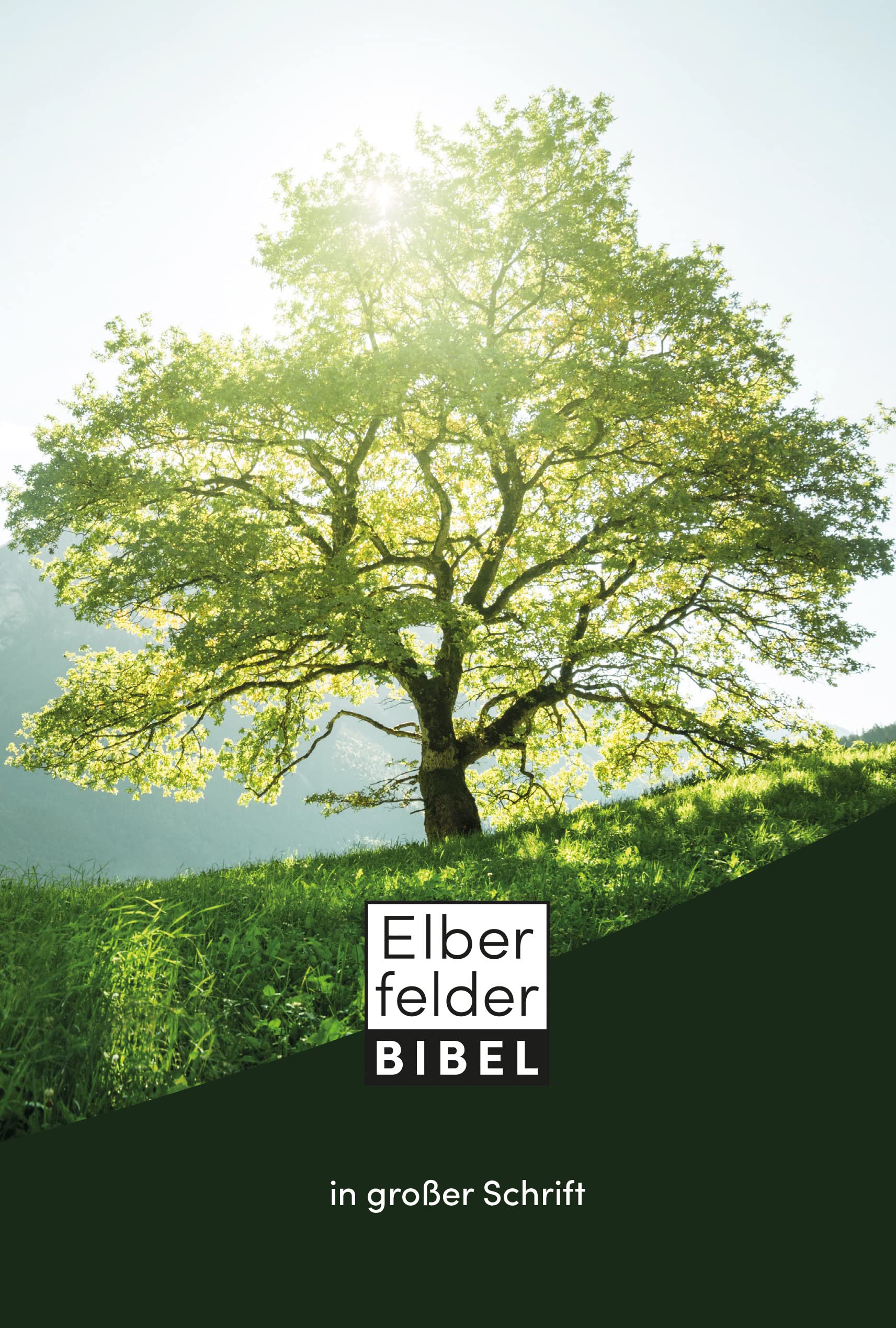 Elberfelder Bibel in großer Schrift Second hand books on Religion & Esotericism