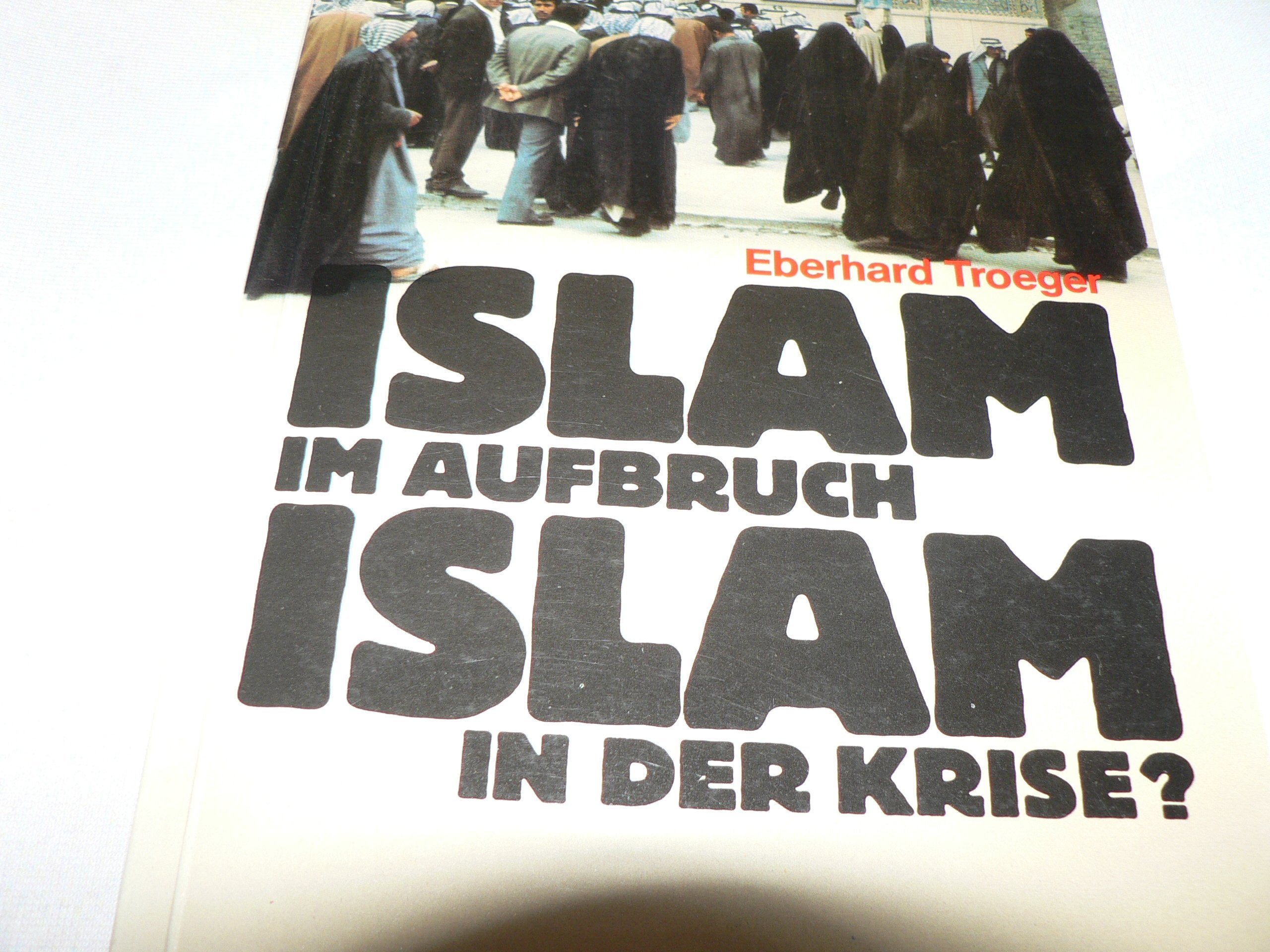 Islam im Aufbruch, Islam in der Krise? Books