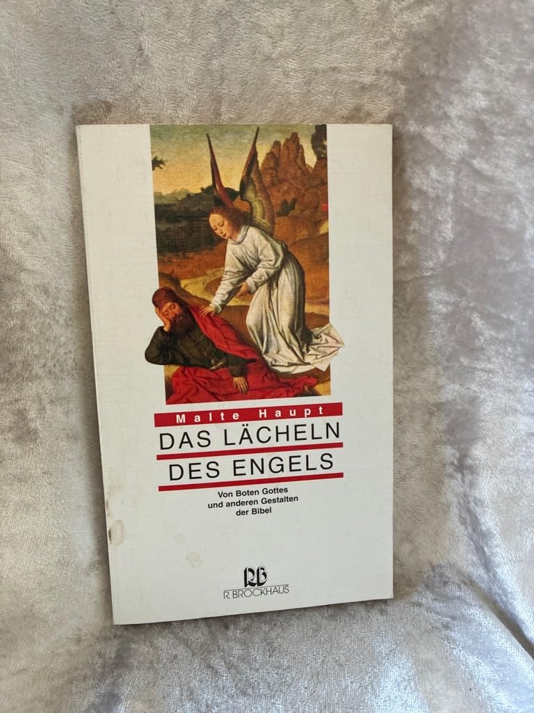 Das Lächeln des Engels: Von Boten Gottes und anderen Gestalten der Bibel (RBtaschenbücher) Religion & Esotericism
