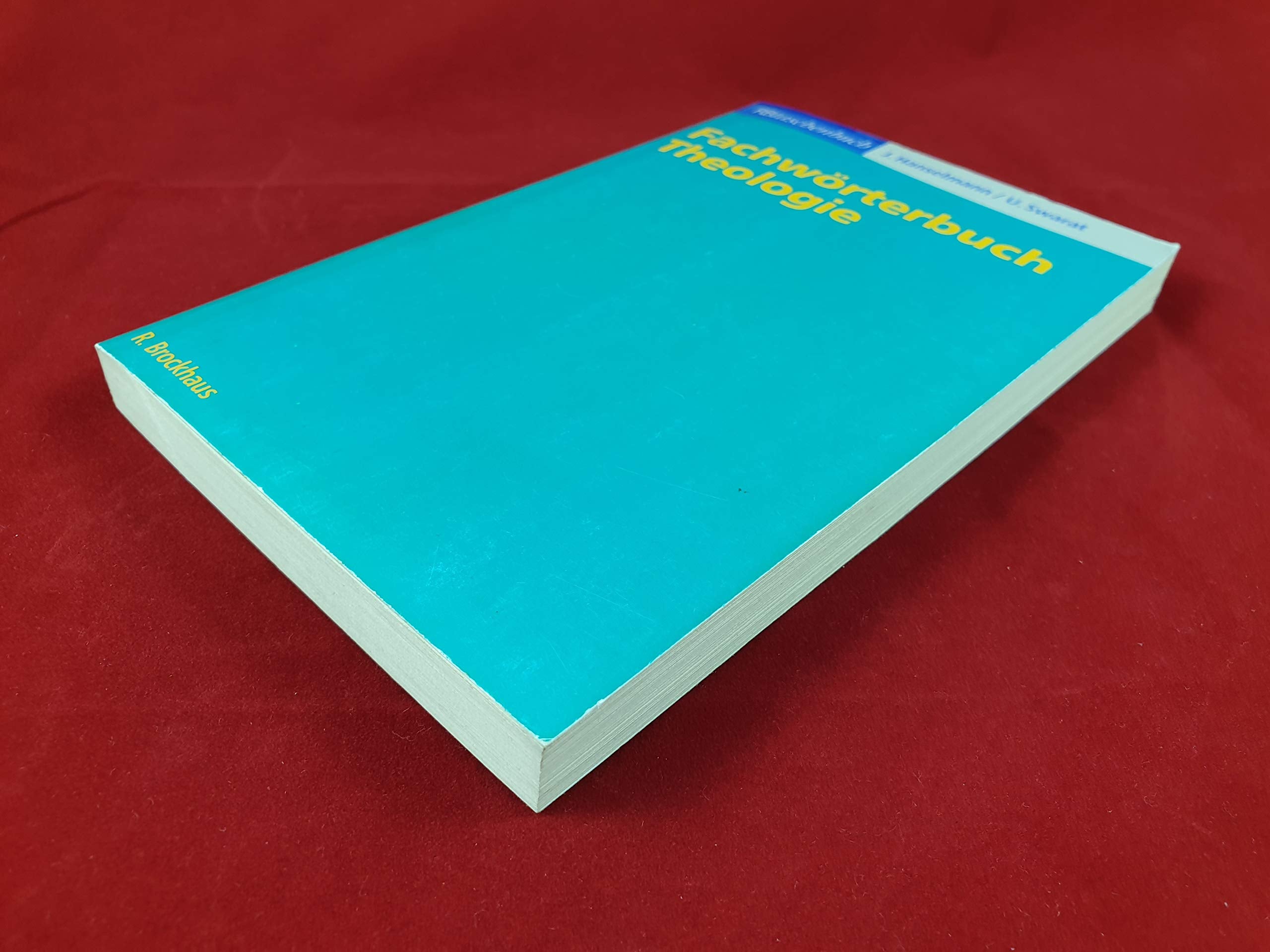 Fachwörterbuch Theologie (RBtaschenbücher) Learning & Reference