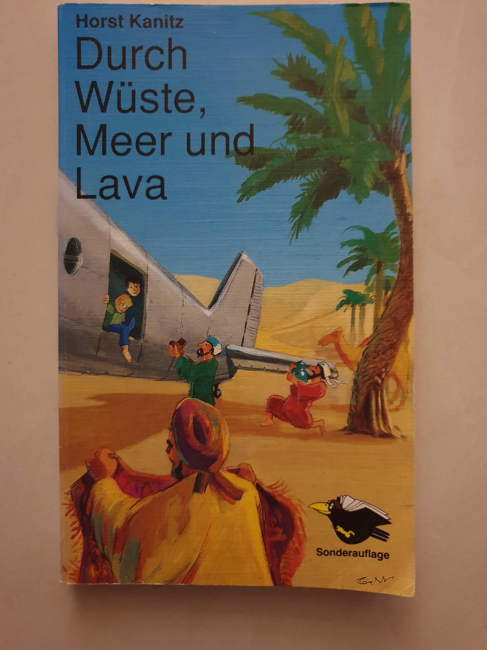Durch Wüste, Meer und Lava (Brockhaus Rabenbücher) Reference Books