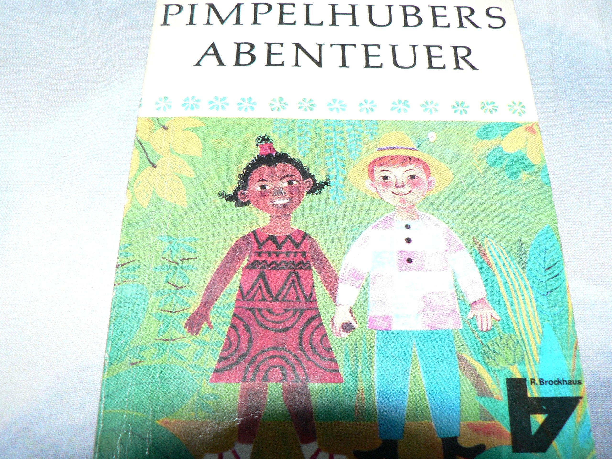 Pimpelhubers Abenteuer: In Afrika, Amerika und Deutschland (Brockhaus Rabenbücher) Novels & Short Stories