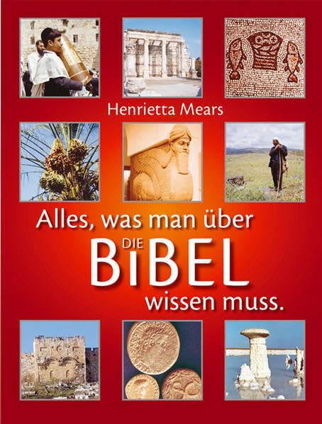 Alles, was man über die Bibel wissen muss Reference Books