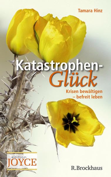 Katastrophen Glück: Krisen bewältigen - befreit leben (Edition Joyce) Psychology