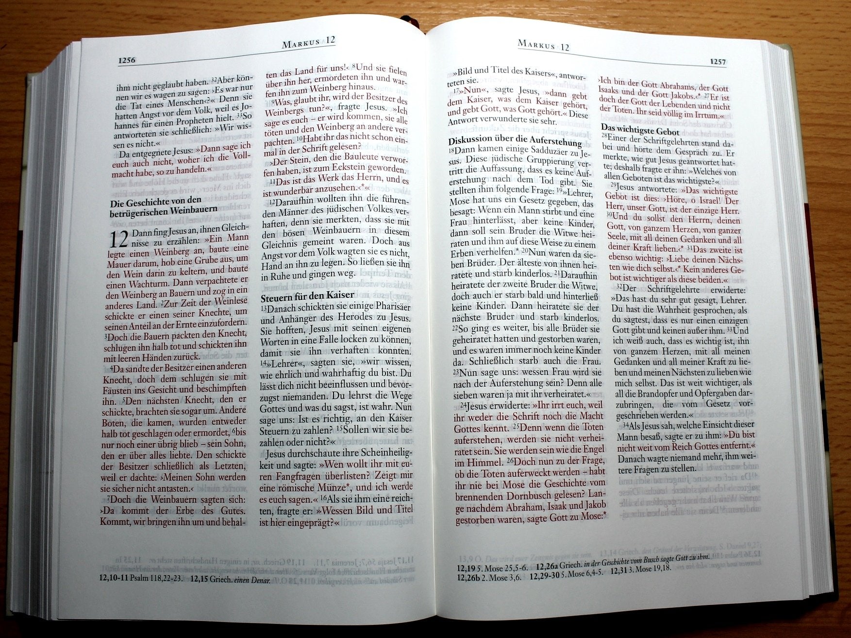 Die Jesus-Bibel - beige: Red Letter Edition (Jesu Worte in roter Schrift) Religion & Esotericism