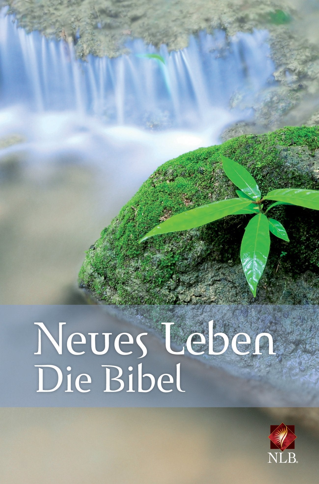 Neues Leben. Die Bibel. Taschenausgabe, Motiv "Quelle" Religion & Esotericism