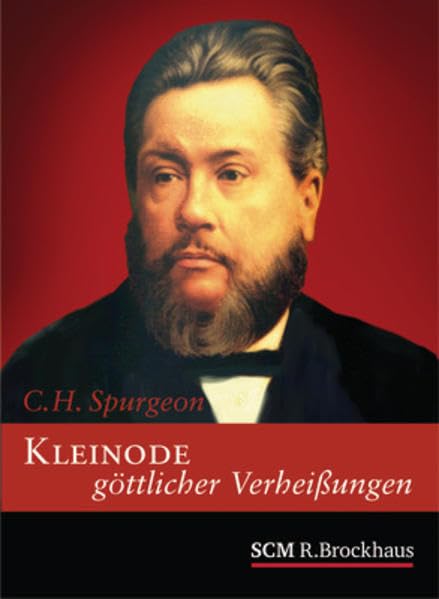 Kleinode göttlicher Verheißungen - Motiv: Portrait: Für jeden Tag eine Verheißung Religion & Esotericism